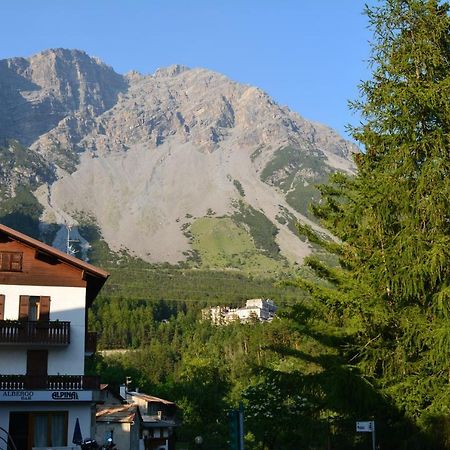 Albergo - B&B Alpina Premadio Zewnętrze zdjęcie