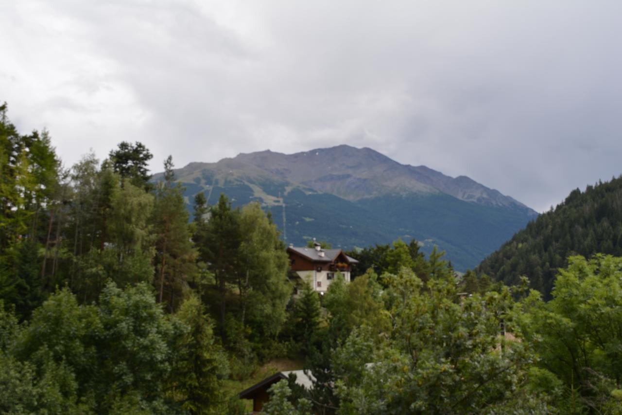 Albergo - B&B Alpina Premadio Zewnętrze zdjęcie